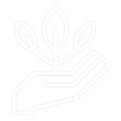 a seedling sprouting out of a hand to symbolize growth